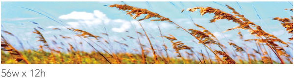 PUBLIC SPACE: GRID WALL, REGIONAL ARTWORK