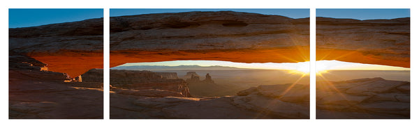 DM9844