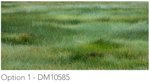 PUBLIC SPACE: FRONT DESK