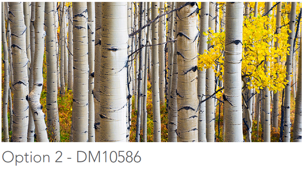 PUBLIC SPACE: FRONT DESK