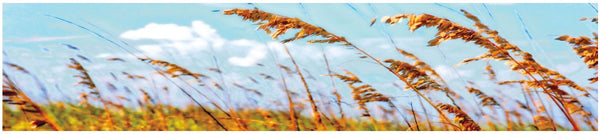 PUBLIC SPACE: RENOVATION PROPERTIES / PROPERTIES WITHOUT SLATTED WALL INSTALLED