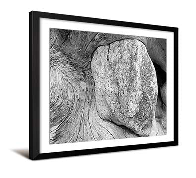 D28799