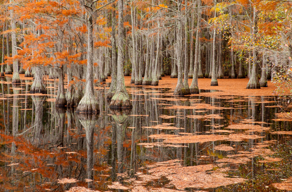 DM9970