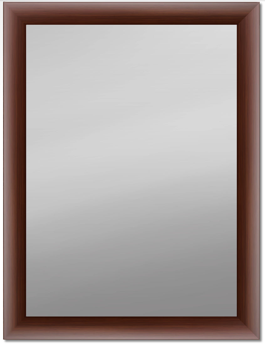 X-504 - VANITY MIRROR AT GUEST BATH